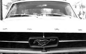 1965 Mustang grille
