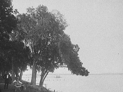 Back Bay from Col. Sheldon's