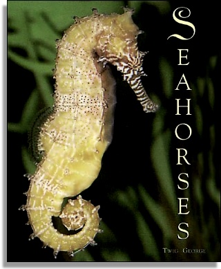Seahorses (The Millbrook Press)