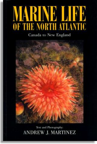 Marine Life of the North Atlantic (Aqua Quest Publications, Inc.)