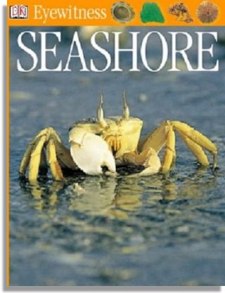 Seashore (Dorling Kindersley, Inc.)