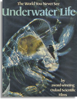 Underwater Life (Rand McNally & Company)