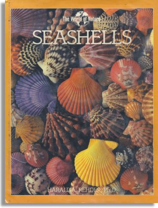 Seashells (W. H. Smith Publishers Inc.)