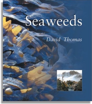 Seaweeds (Smithsonian Institution Press)