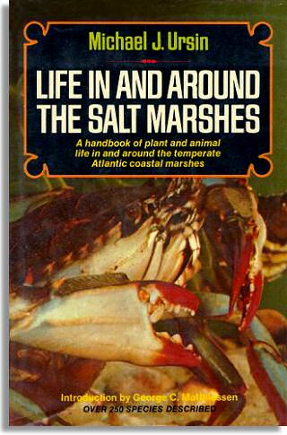 Life In and Around the Salt Marshes (Thomas Y. Crowell Company)