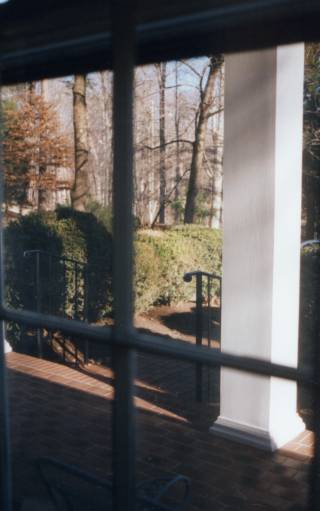 View to northeast from living room window