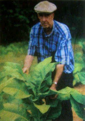 Lewis W. Gregory
